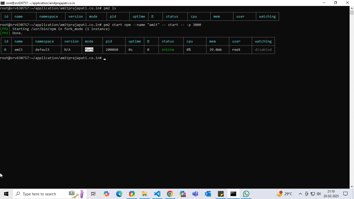 pm2 start with port number